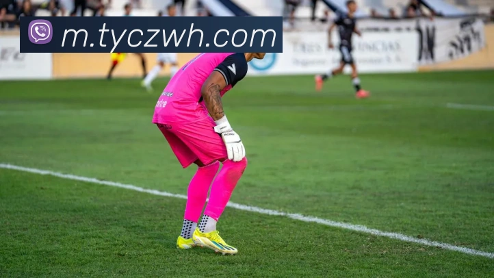 太阳城网站品牌故事