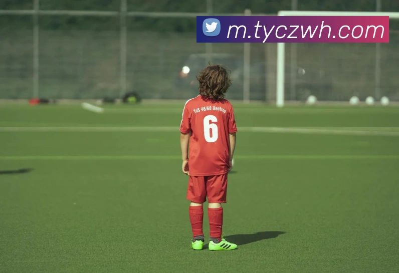 太阳城网站服务体系